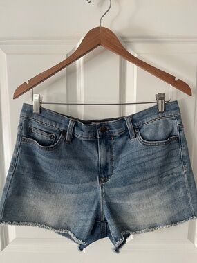 J.Crew Denim Jean Shorts 30 Blue Wash Raw Hem 3” inseam
